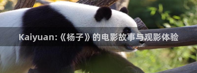 秋霞电影网鲁丝片