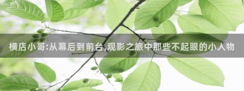 秋霞影视理论片
