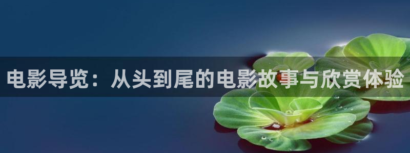 秋霞网在线伦理