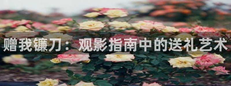 秋霞电影午夜