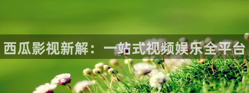 伦理片在线观看秋霞
