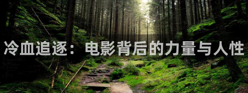 秋霞网在线观看1