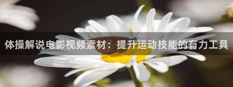 秋霞电影伦理影院