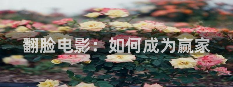 神马电影午夜片秋霞东