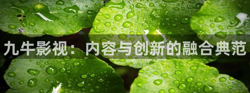 秋霞在线手机观看版