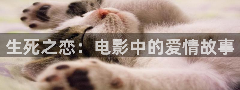 秋霞网神马