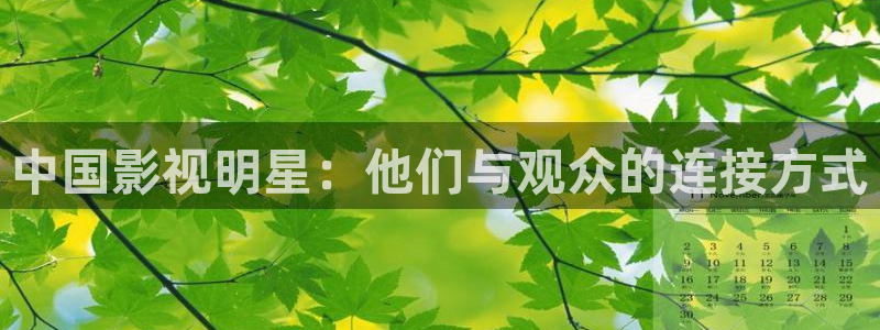 秋霞电影院午夜
