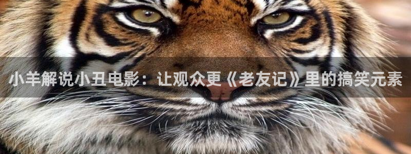 秋霞电影免费观看