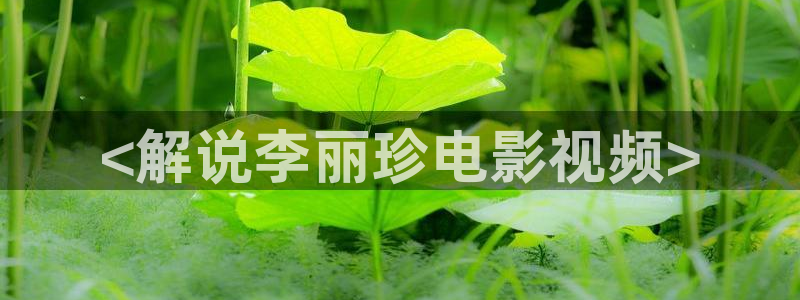 秋霞伦理视频在线播放