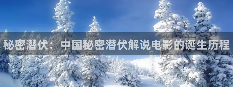秋霞电影网院午夜理论片免费看