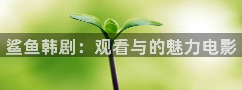 国产秋霞电影