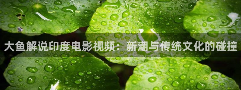 秋霞午夜电影网