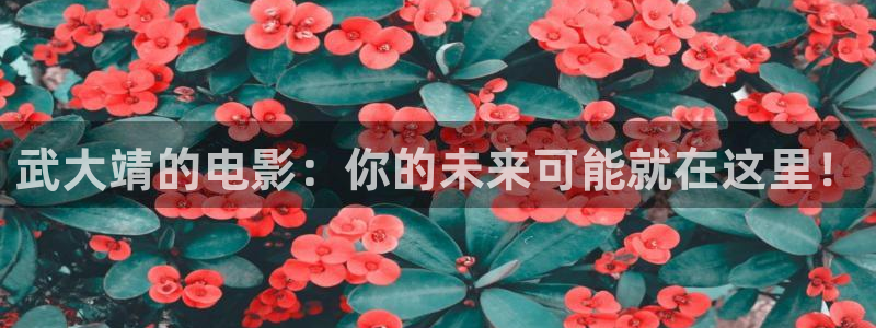 秋霞影院电影网站