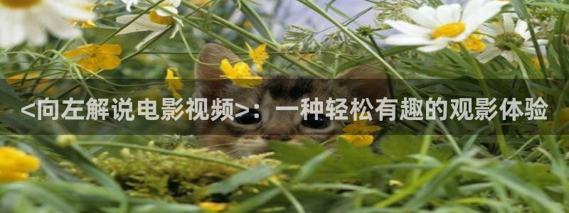 秋霞免费理论影院