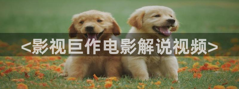 秋霞在线视频看看