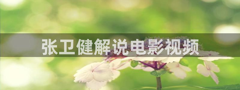 秋霞97网