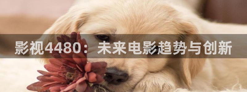 秋秋霞电影网