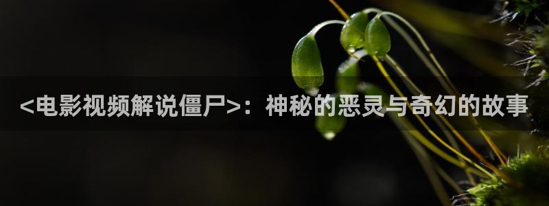 秋霞影院轮理片
