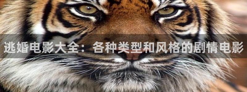秋霞电影网站一级片免费