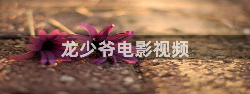 秋霞网26uu