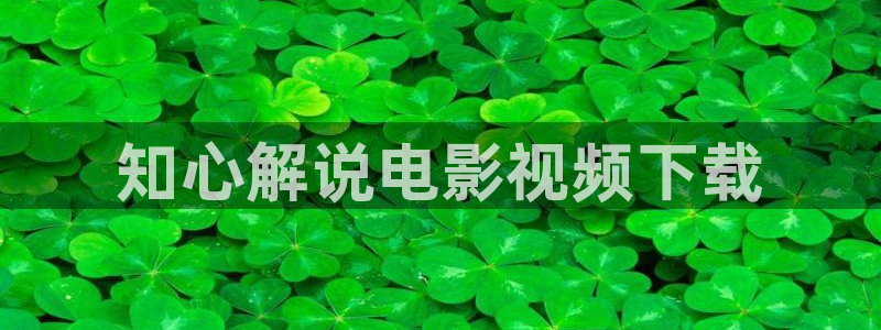 秋霞手机网在线观看