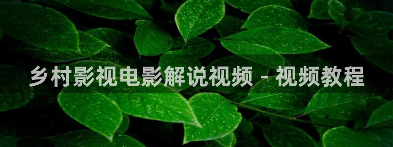 秋霞电影网神马电影
