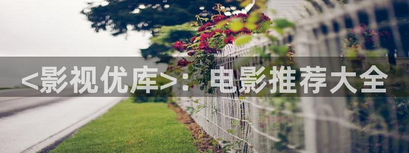 神马午夜秋霞电影