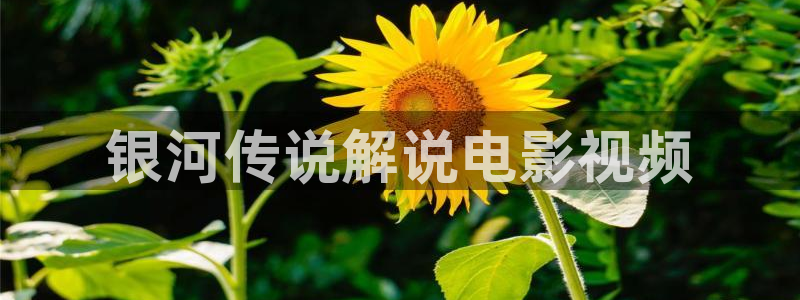 秋霞午夜伦理影院