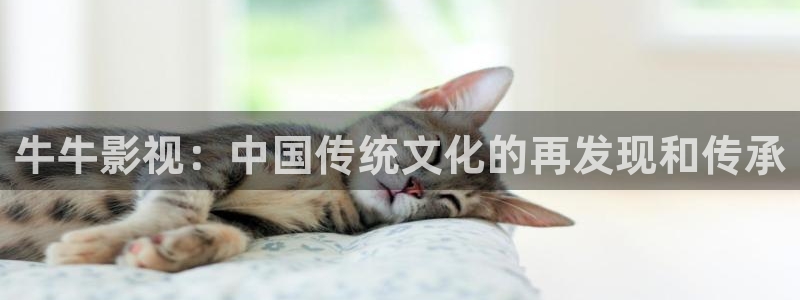 秋霞影院电视剧在线观看免费