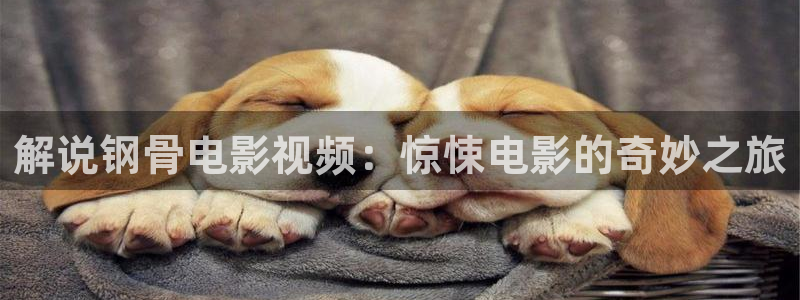 秋霞电影网2016