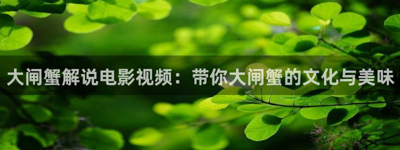秋霞电影电脑版