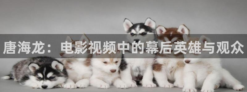 vy秋霞电影网